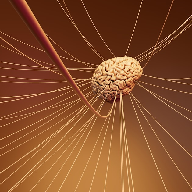 The Science of Memory Issues